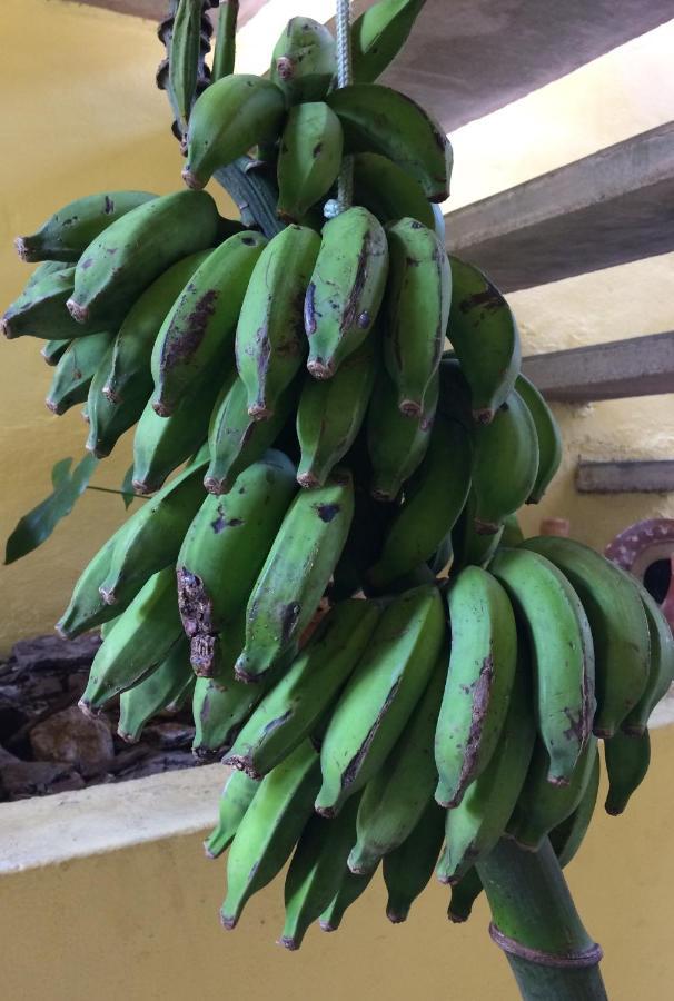 Hotel Pousada Da Sesmaria Sao Sebastiao  Zewnętrze zdjęcie